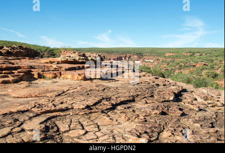 Rugged layers of sandstone rock at the Z-bend lookout with native bushland in the National Park in Kalbarri, Western Australia Stock Photo