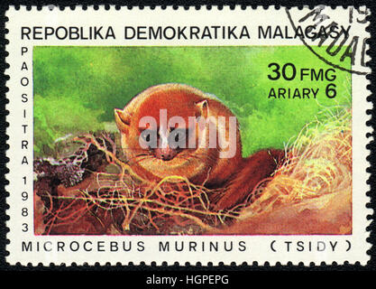 A postage stamp printed in  Malagasy shows Microcebus murinus tsidy, 'Lemurs of Madagascar' series, 1983 Stock Photo