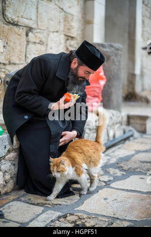 Pilgrim and cat in front of Holy Sepulcher church, Jerusalem, Israel. Stock Photo