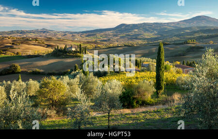 Late afternoon sunlight on the Belvedere and countryside of Val d'Orcia near San Quirico, Tuscany, Italy Stock Photo