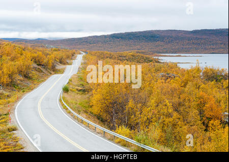 Empty road with low vegetation on the side in the Norwegian countryside Stock Photo