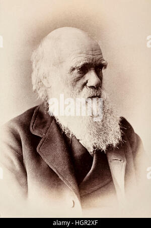 Charles Darwin (1809-1882) English naturalist who first set out his theory of evolution and natural selection in his book 'On the Origin of Species' published in 1859. Photograph taken in 1881, the year the Natural History Museum opened in London. See description for more information. Stock Photo