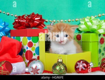 Adorable orange and white long haired tabby kitten sitting in christmas presents with holiday ornaments, green background with copy space. Stock Photo