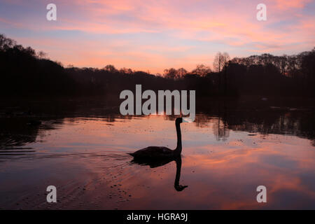 The sun rises over the lake at Golden Acre Park on a cold winter morning in Leeds, West Yorkshire. Stock Photo