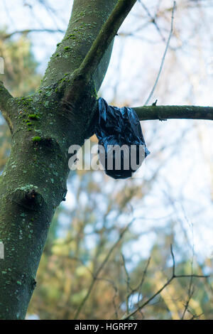 Black plastic bag containing dog poo / dogs mess / Feces / faeces / defecation / excreta discarded by a dog's owner on a tree. Stock Photo