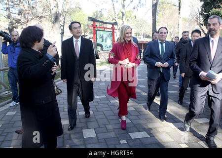 Madrid, Spain. 12th January 2017. Cristina Cifuentes and the Chinese Ambassador, Lyu Fan during the official presentation of Chulina, the new giant panda bear at the Acuarium Zoo in Madrid.  1/1/2017 Credit: Gtres Información más Comuniación on line,S.L./Alamy Live News Stock Photo