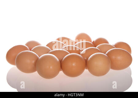 Many Organic speckled brown eggs with condensation from being cold on a reflective surface isolated on white Stock Photo