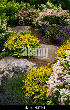 Rock Garden with flowering plants, Quebec, Canada Stock Photo