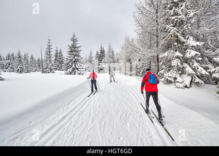 Jakuszyce, Poland - January 06, 2017: Cross-country skiers running on prepared tracks in snow on a cloudy day. Stock Photo