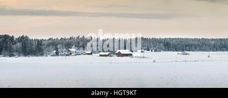 Panorama of farm house at the edge of a frosty forest with white snowy fields in the winter, Uppland, Sweden, Scandinavia Stock Photo