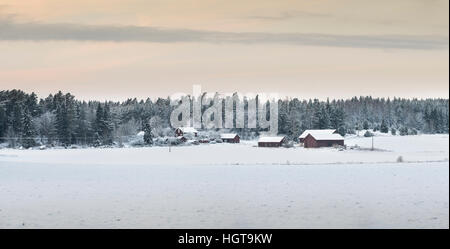 Panorama of farm house at the edge of a frosty forest with white snowy fields in the winter, Uppland, Sweden, Scandinavia Stock Photo