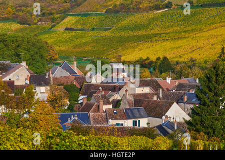 France, Cher 18, Chavignol Village, Vineyard In Autumn Stock Photo - Alamy