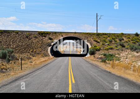 Lonely Desert Road passes under a railway bridge tunnel located in the barren desert between Utah and Colorado. Stock Photo