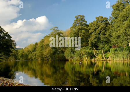 Large pond on the river Derwent  Derbyshire England Stock Photo