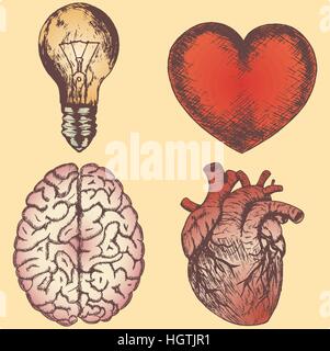Hand drawn vector sketch illustration set - brain, love and naturalistic heart, light bulb, yellow background. Stock Vector