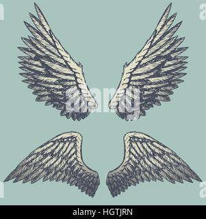 Hand drawn vector vintage illustration - naturalistic spread wings sketch. Stock Vector