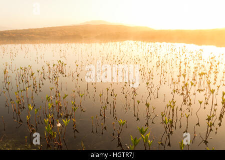 sunrise on a scottish loch in summer, Outer Hebrides, Scotland Stock Photo
