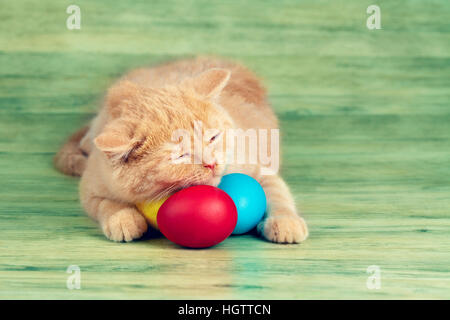 Cute red kitten sleeping on colored eggs Stock Photo