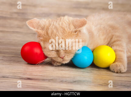 Cute red kitten sleeping on colored eggs Stock Photo