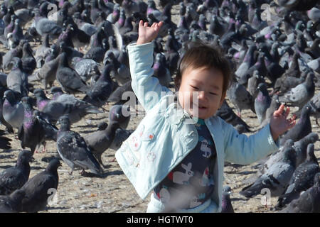 Child/toddler playing with hundreds of pigeons in Mongolia in a square Stock Photo