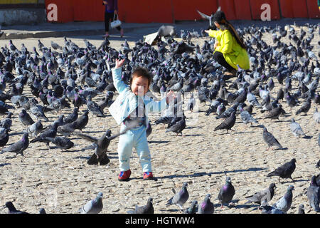 Child/toddler playing with hundreds of pigeons in Mongolia in a square Stock Photo