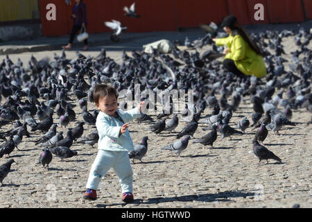 Child/toddler playing with hundreds of pigeons in Mongolia in a square Stock Photo