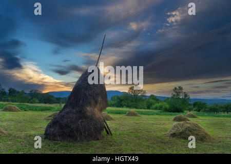 Haystacks in Breb Maramures Romania Stock Photo