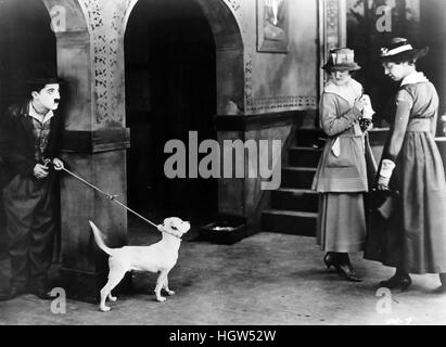 A DOG'S LIFE 1918 First National Pictures film with Charlie Chaplin Stock Photo