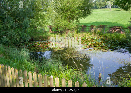 Old village pond in Sailach, Baden-Wuerttemberg, Germany, Swabian-Franconian-Forest, Heilbronn-Franconia, Hohenlohe region, Waldenburg-Sailach Stock Photo