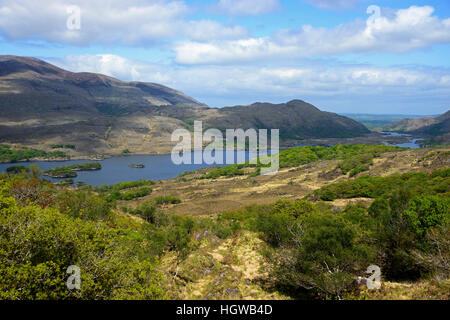 Landscape, Ladies view, Killarney National Park, Ireland, Great Britain Stock Photo