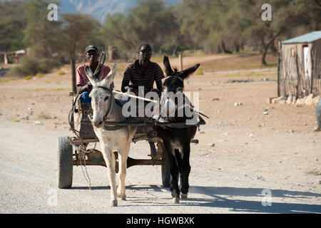 Donkey cart, Sesfontein, Namibia Stock Photo