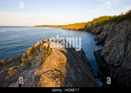 The cliffs of the Bold Coast trail in Cutler, Maine. Cutler Coast Public Reserved Land. Stock Photo