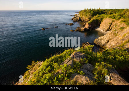 The cliffs of the Bold Coast trail in Cutler, Maine. Cutler Coast Public Reserved Land. Stock Photo