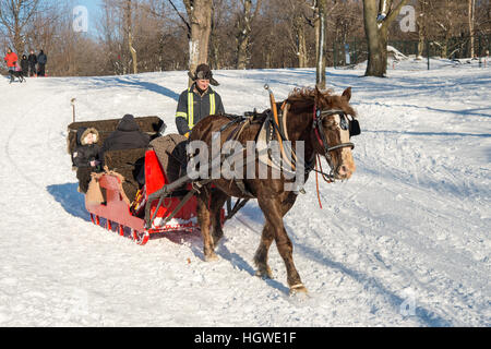 Tourists enjoying a horse carriage ride on snow during the winter time on Mount Royal Stock Photo