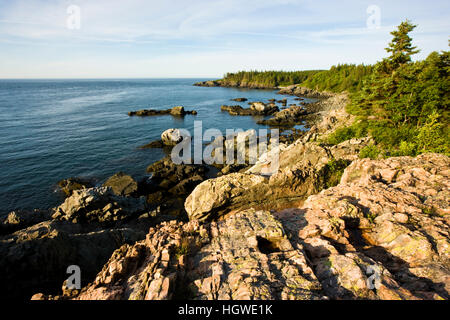 The cliffs of the Bold Coast trail in Cutler, Maine. Cutler Coast Public Reserved Land. Stock Photo