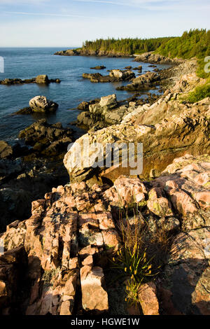 The cliffs of the Bold Coast trail in Cutler, Maine. Cutler Coast Public Reserved Land. Stock Photo