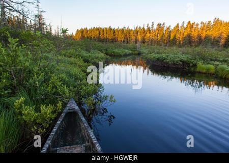 A canoe on the Cold Stream 'deadwater' above Upper Cold Stream Falls in Maine's Northern Forest. Johnson Mountain Township. Stock Photo