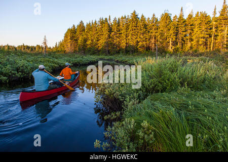 Two men fly-fishing for brook trout from a canoe on the Cold Stream 'deadwater' above Upper Cold Stream Falls in Maine's Northern Forest. Johnson Moun Stock Photo