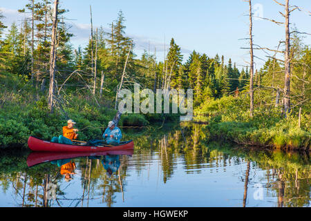 Two men fly-fishing for brook trout from a canoe on the Cold Stream 'deadwater' above Upper Cold Stream Falls in Maine's Northern Forest. Johnson Moun Stock Photo