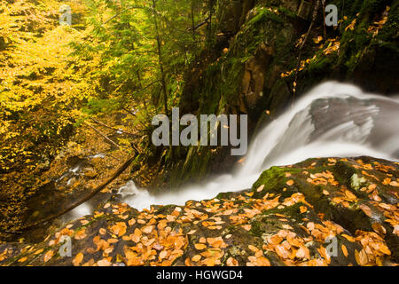 Upper Falls in Dixville Notch State Park, New Hampshire. Fall. Stock Photo