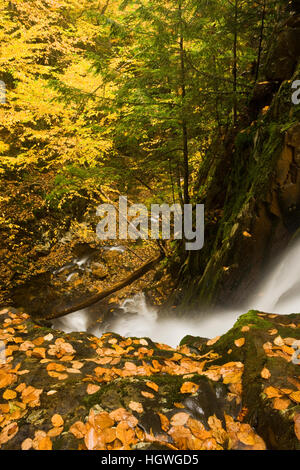 Upper Falls in Dixville Notch State Park, New Hampshire. Fall. Stock Photo