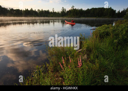 A man canoeing on Little Bear Brook Pond in Errol, New Hampshire. Northern Forest Stock Photo