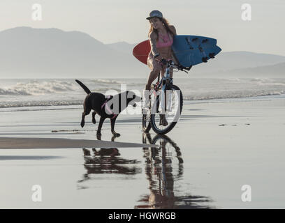 Woman riding on her bicycle with her pet dog along the beach. Tarifa, Costa de la Luz, Cadiz, Andalusia, Southern Spain. Stock Photo