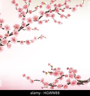 Illustration of flowering branch of Sakura. EPS 10 Stock Vector