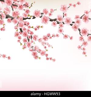 Blossom cherry tree branches. EPS 10 Stock Vector