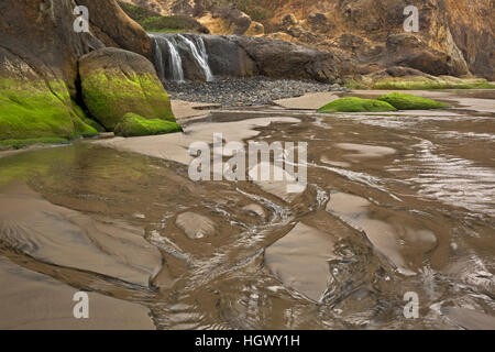 OR02320-00...OREGON - Small waterfall on the beach at Hug Point State Park, south of Canon Beach. Stock Photo