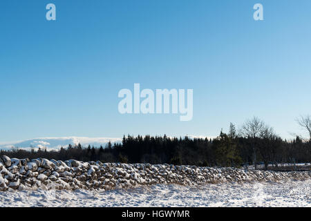 Winter landscape in Sweden with a snow covered old stone wall Stock Photo