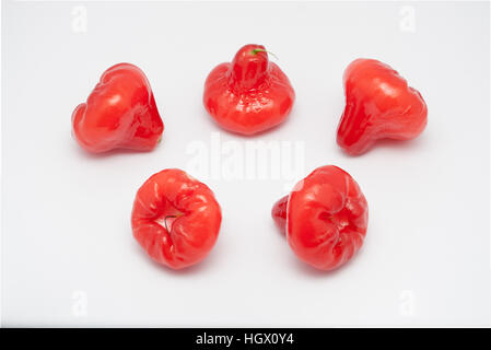 Five Small Rose Apple, isolated on white Stock Photo