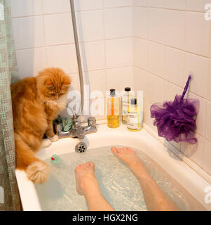 A ginger kitten/cat balances on the edge of a bath tub whilst a woman is bathing.