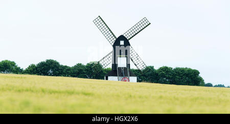 Pitstone Windmill with a wheat field in the foreground, Buckinghamshire, England, UK Stock Photo